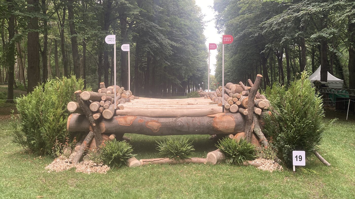 Paris Olympics cross-country course: fence 19