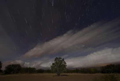 A Perseids meteor shower