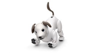 A picture of Sony Aibo, a robot dog
