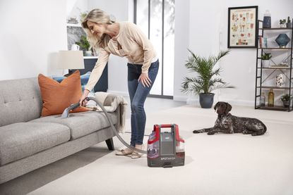 Vax SpotWash Spot Cleaner being used to clean a sofa by woman with dog in the background