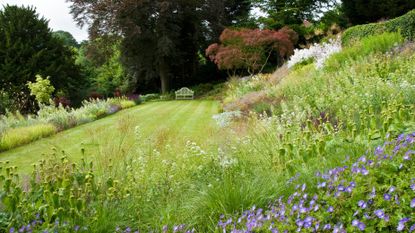 designs for a sloping garden with planted slopes by Acres Wild landscape and Garden Design