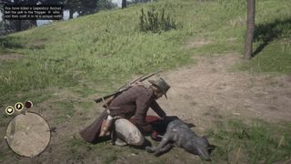 Red Dead Redemption 2 legendary animals - legendary coyote