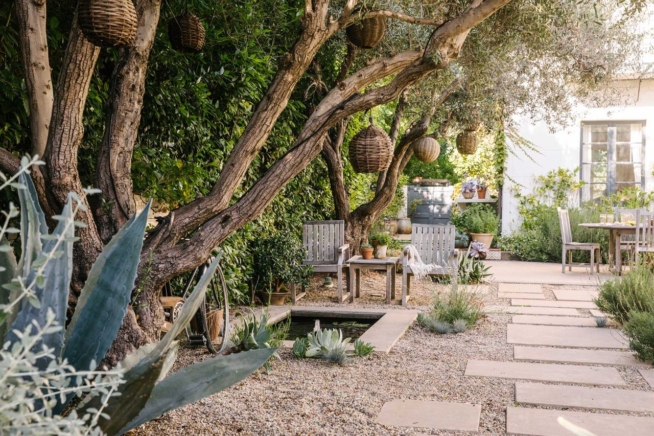 a Mediterranean backyard