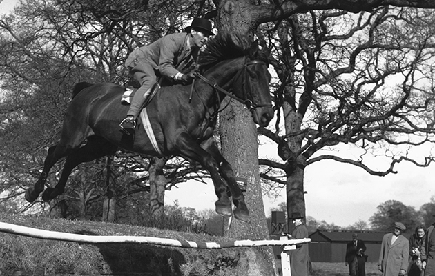 Horse Show Jumping