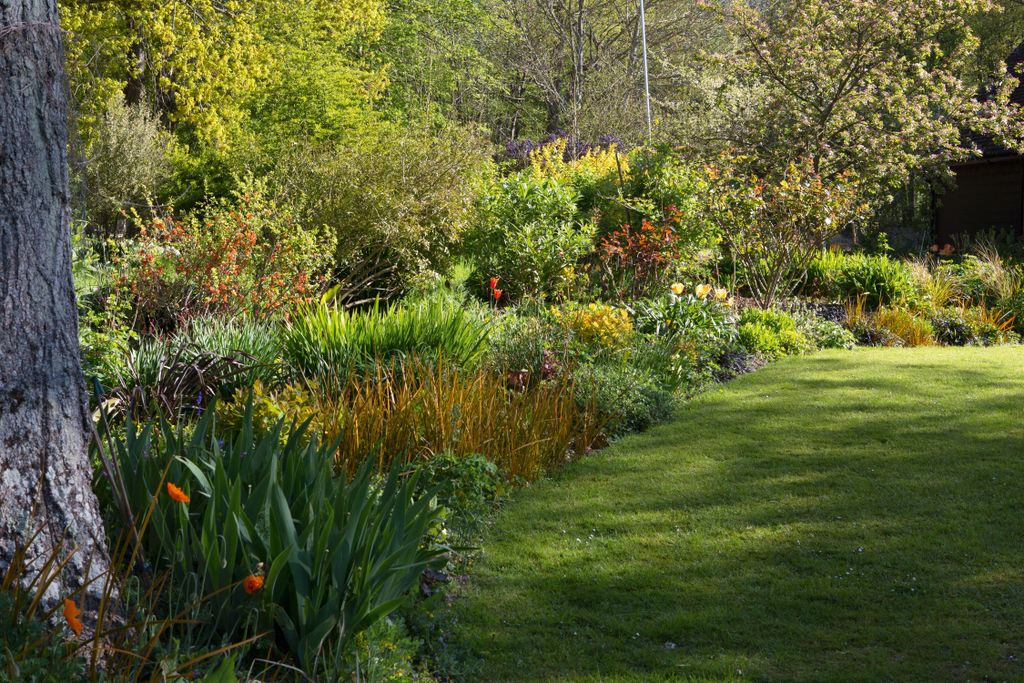 Real garden: a spring garden with a bluebell woodland | Real Homes