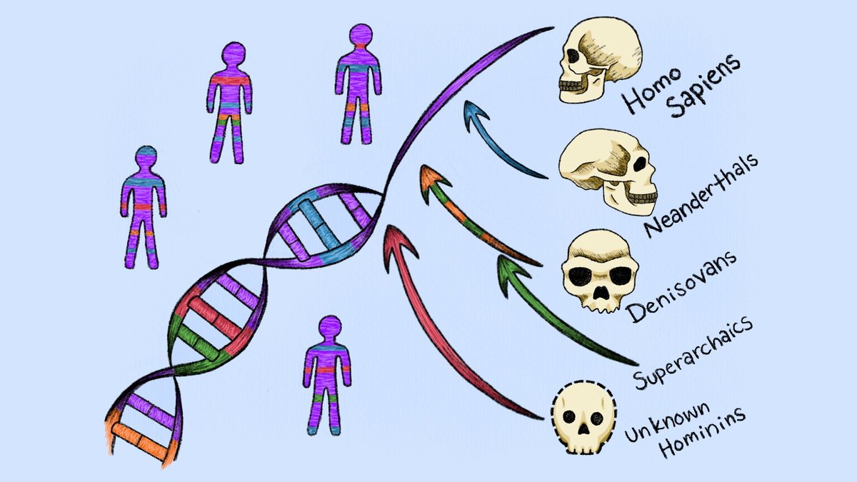Scientists discover 2 new 'ghost' lineages that contributed DNA to modern humans