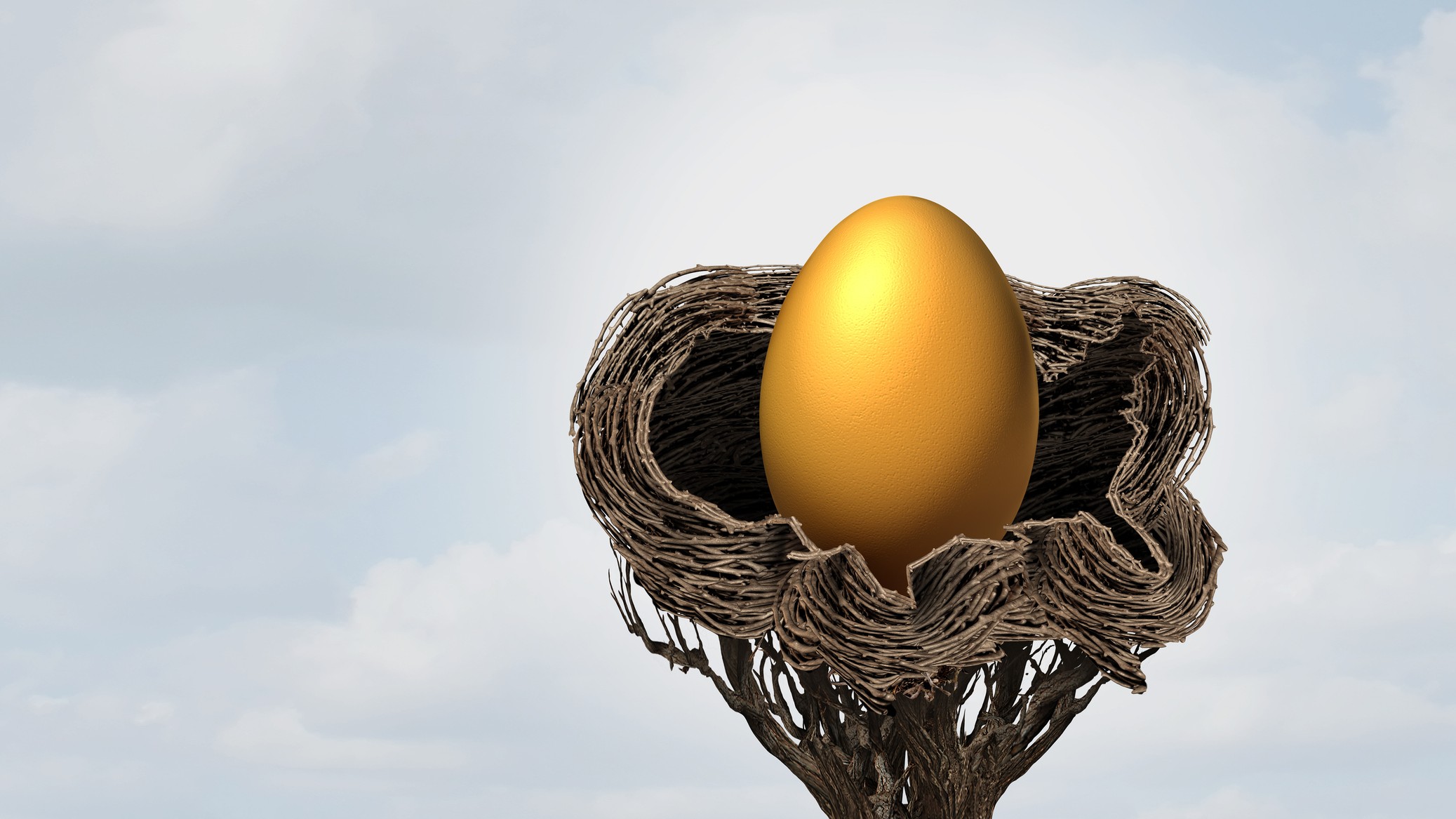 American Prosperity And Wealth as a gold egg representing the US economy or United states budget in a nest as a business symbol for business success and security.