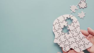 Puzzle pieces representing memory.