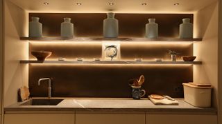 built-in shelving lit with led downlights
