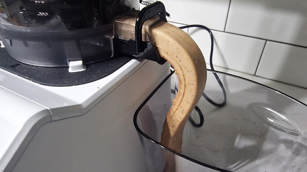 Nama C2 juicer reviewed