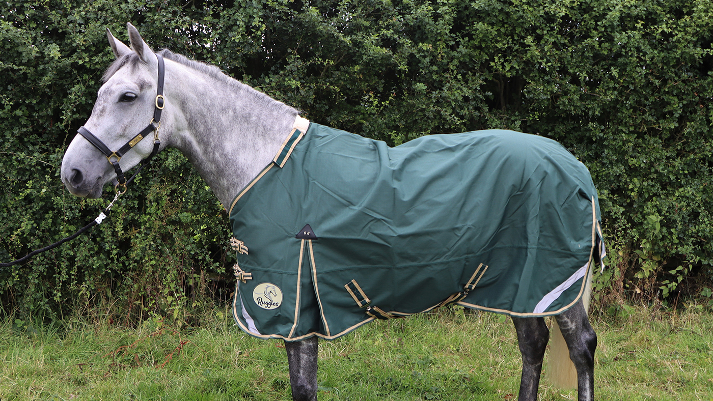 Ruggles lightweight turnout rug