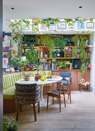 House plants in Lucy Hammond Giles' home