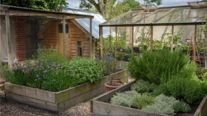 Wooden potting bench inside shed with shelves, garden tools, pots and hats