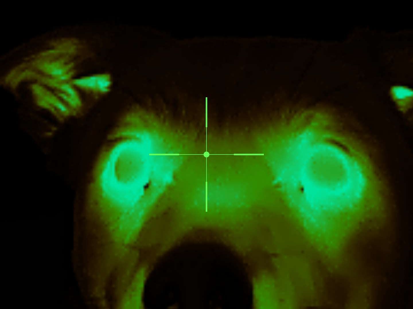 Xinfrared One XH09 captures