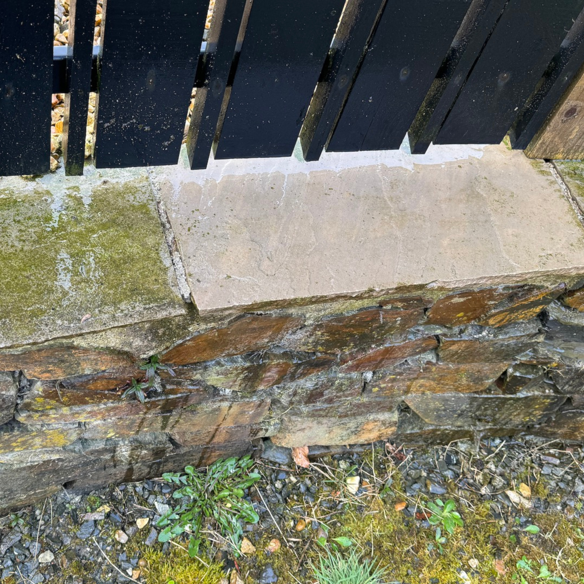 newly cleaned limestone stonework beside one with algae