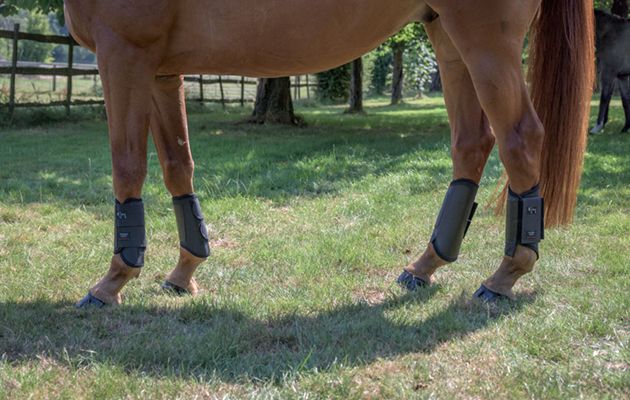 Michael Jung Event Boots review