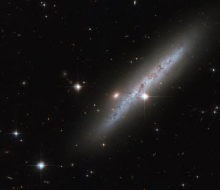 The somewhat amorphous spiral galaxy UGC 2890 appears side-on in this image from the Hubble Space Telescope, with bright foreground stars studding the image. This galaxy, which lies around 30 million light-years away in the constellation Camelopardalis, hosted a powerful supernova explosion that astronomers observed in 2009. 