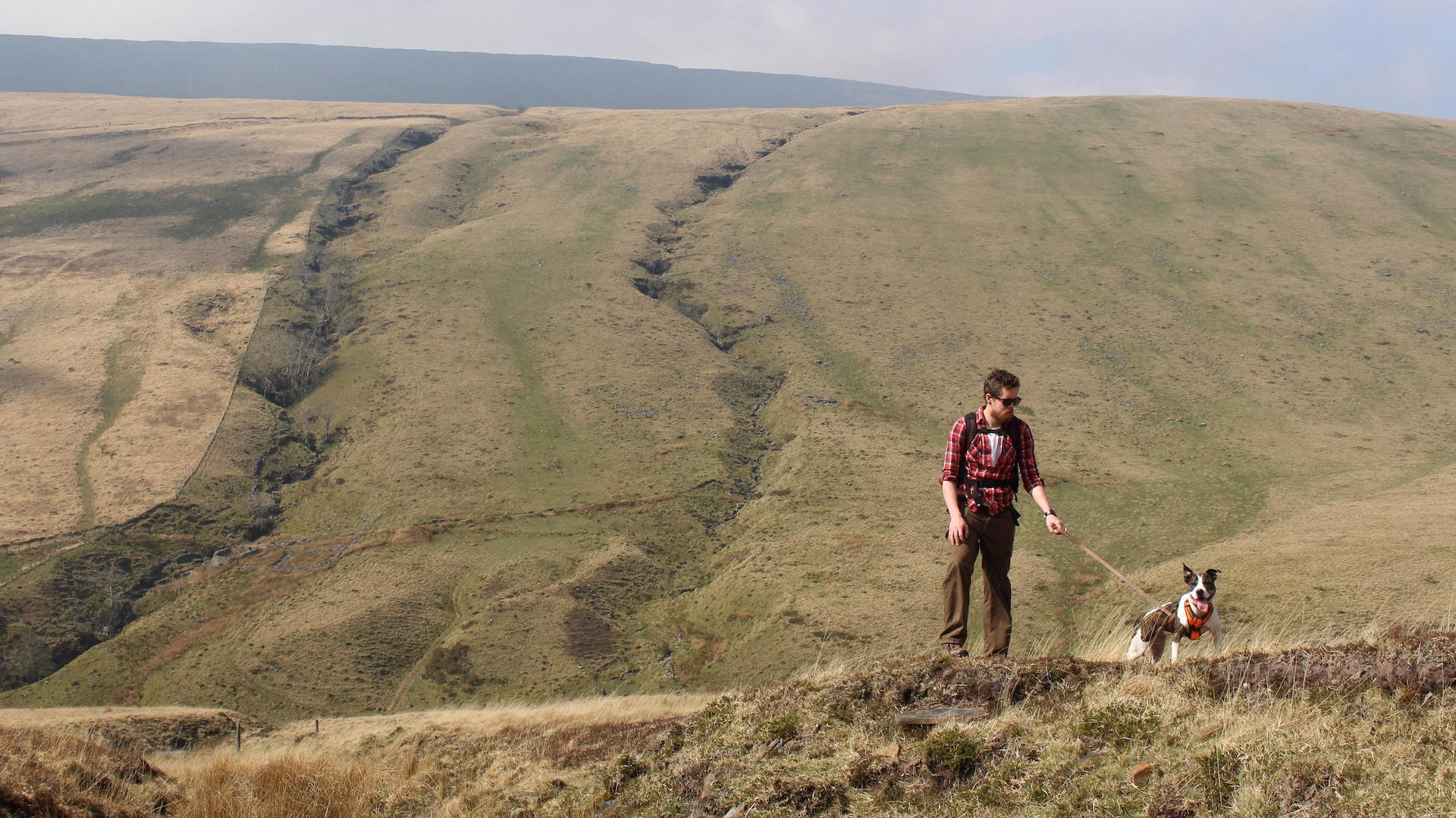 Man walking dog in hilly terrain