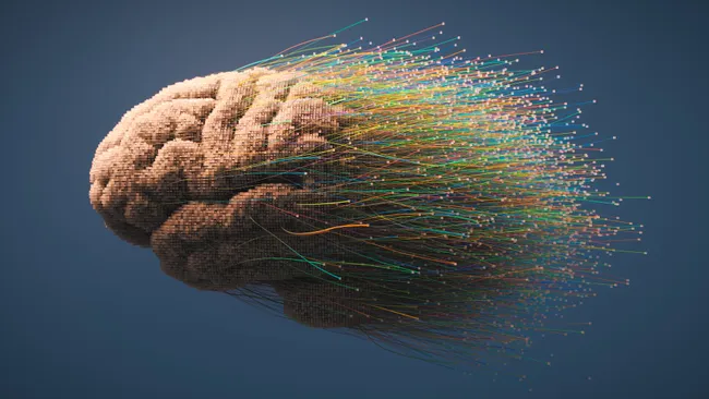 Memories aren't static in the brain, they 'drift' over time