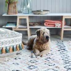 Dog lying on a rug