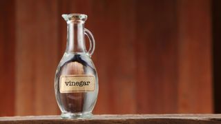 A jug of white distilled vinegar sitting on a table