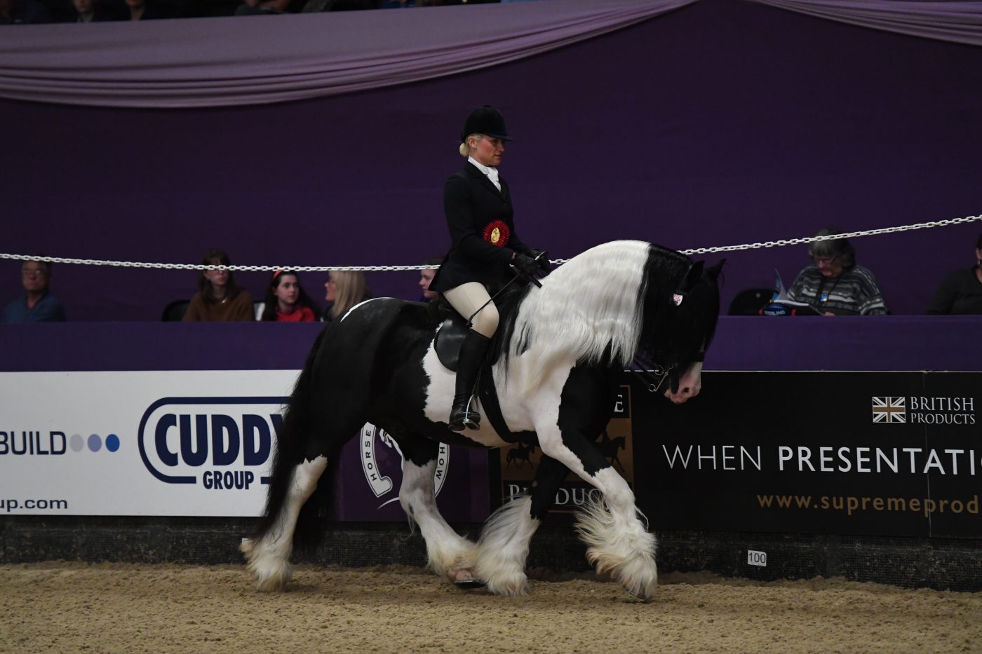 HorseNo1540_HOYS_PN19_155998-e1570528382411.jpg