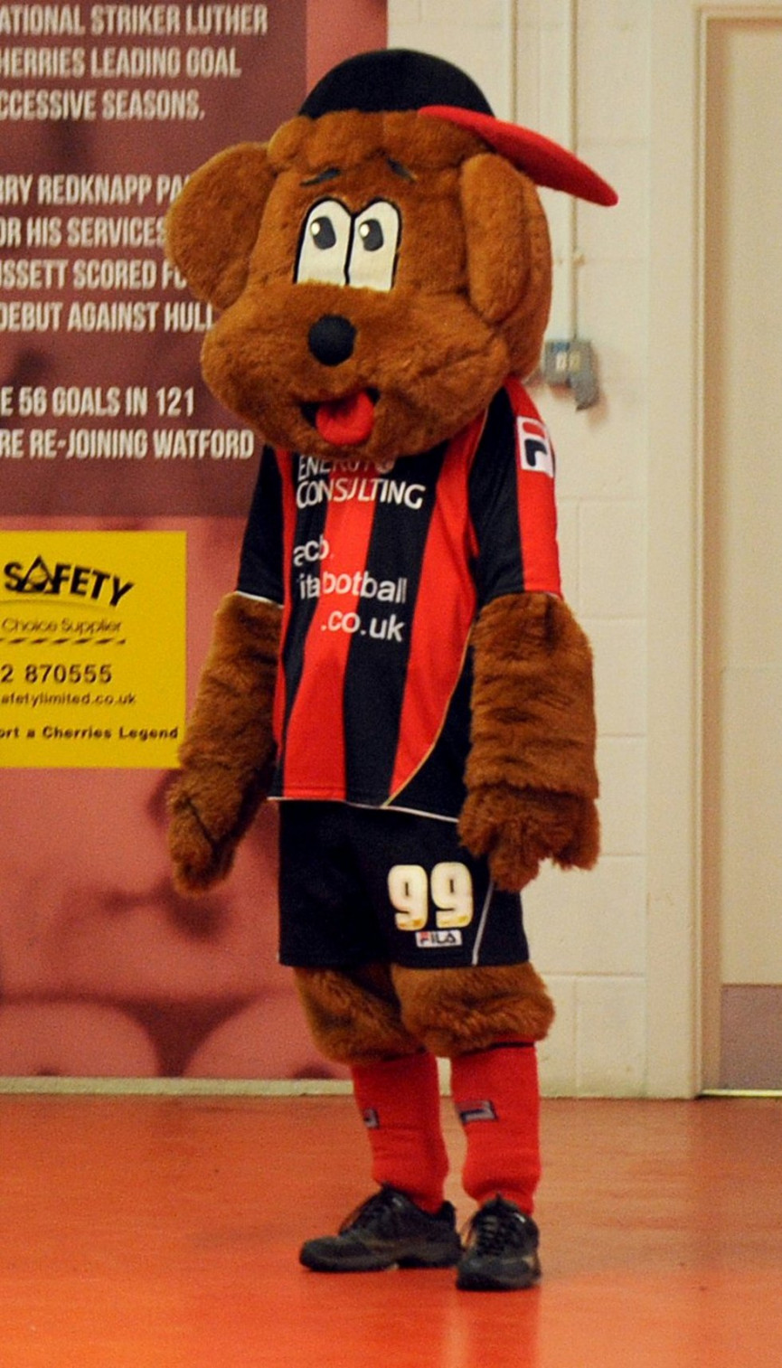 this-seasons-premier-league-mascots-ranked-12-1556679156-7Kaa-column-width-inline