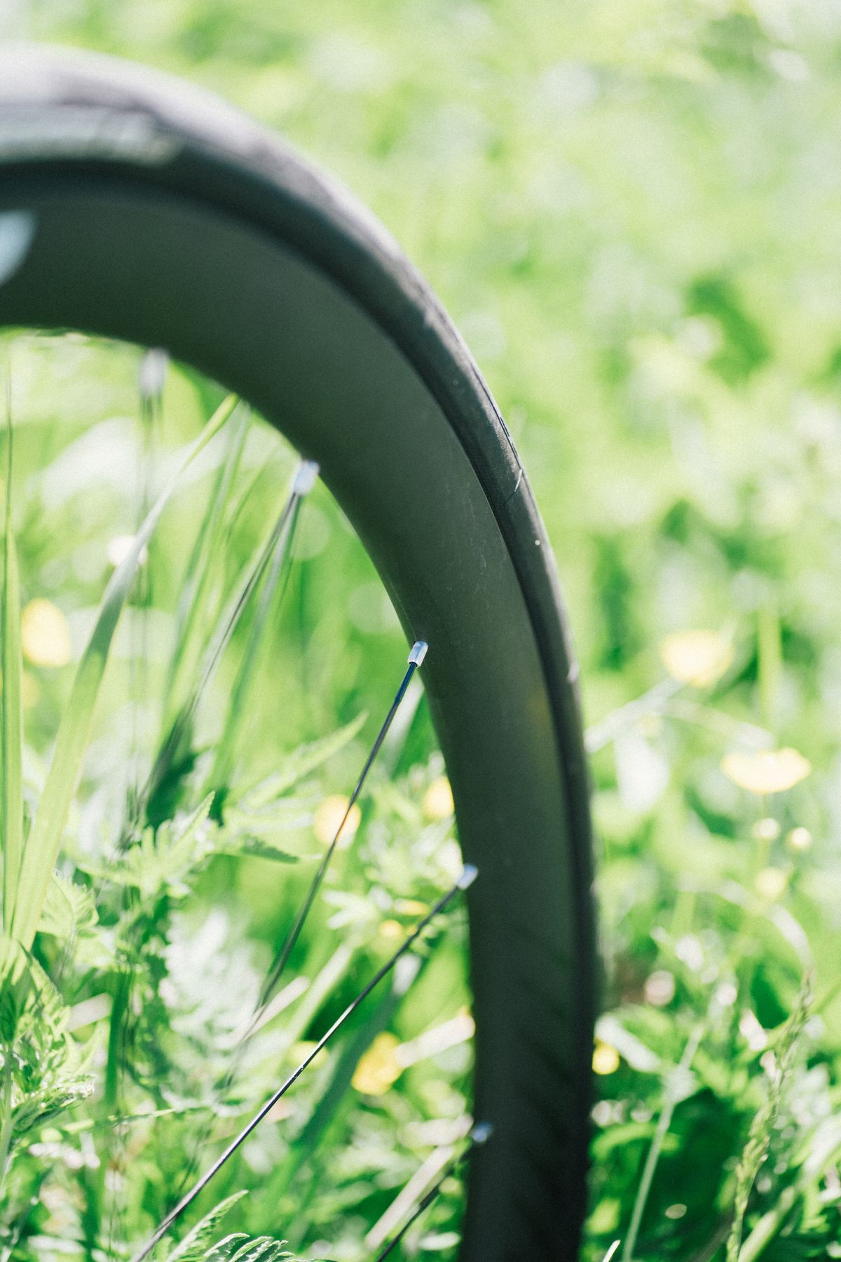 A zipp wheel in an alpine meadow