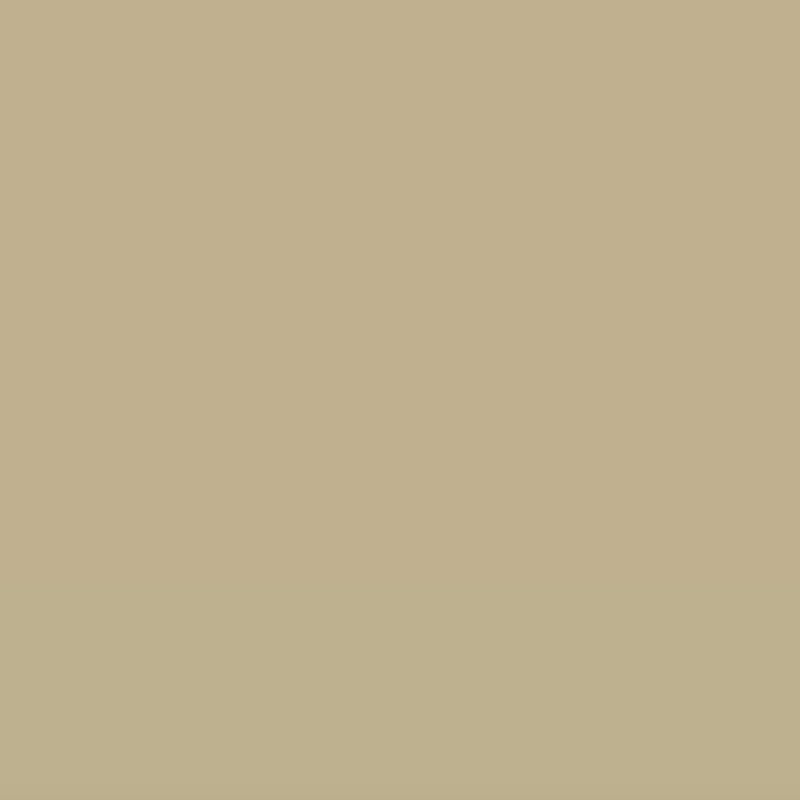 beige paint swatch