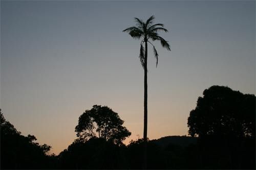 Malaysia offers some spectacular scenery