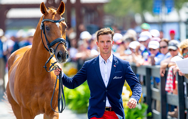 WEG eventing trot-up fashion