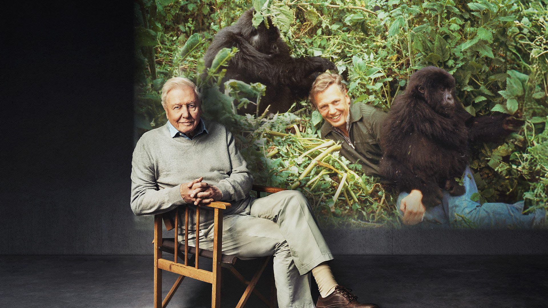 A photo of David Attenborough.
