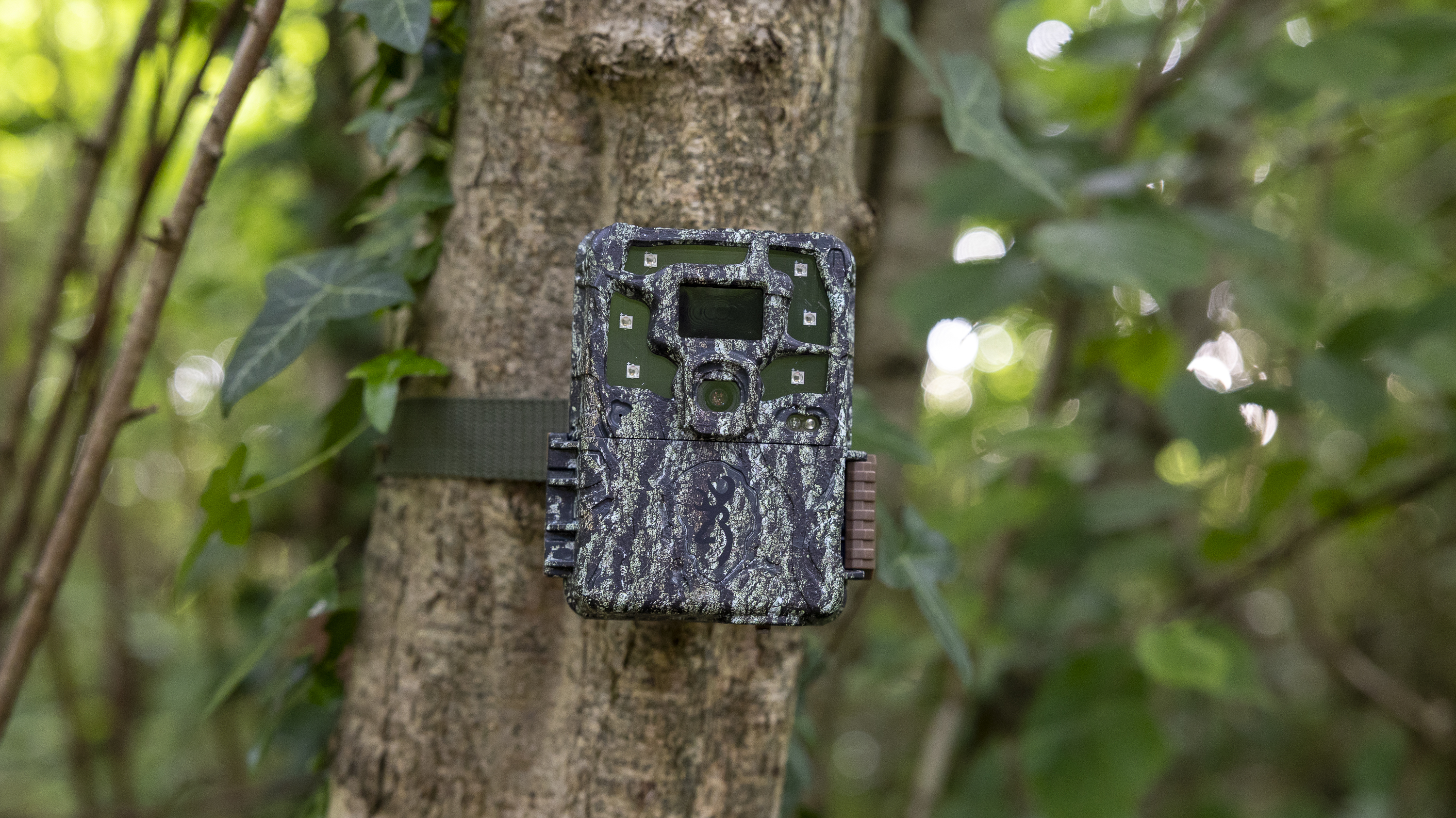 Browning Strike Force HD Pro X1080 review: a fantastic, no-frills trail camera for beginners