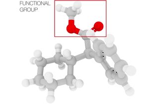 Every organic chemical starts with a skeleton, or framework, made of carbon and hydrogen. Traditionally, chemists have considered those carbon-hydrogen, or C-H, bonds to be chemically inactive. The chemically reactive parts of the molecule, where interesting new combinations happen, are called functional groups. New research will make the C-H bonds viable and efficient reaction partners, removing the reliance on functional groups.