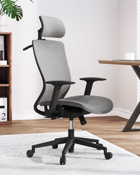FlexiSpot OC3 ergonomic office chair