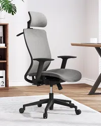 FlexiSpot OC3 ergonomic office chair