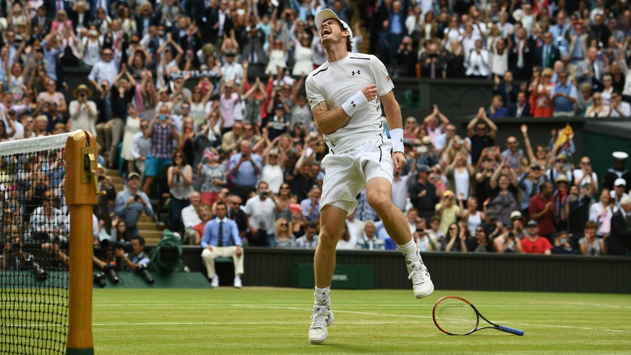 Andy Murray wins Wimbledon