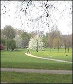 2BA9B40C-7308-4AD3-8838-50DB66A77251.jpg
