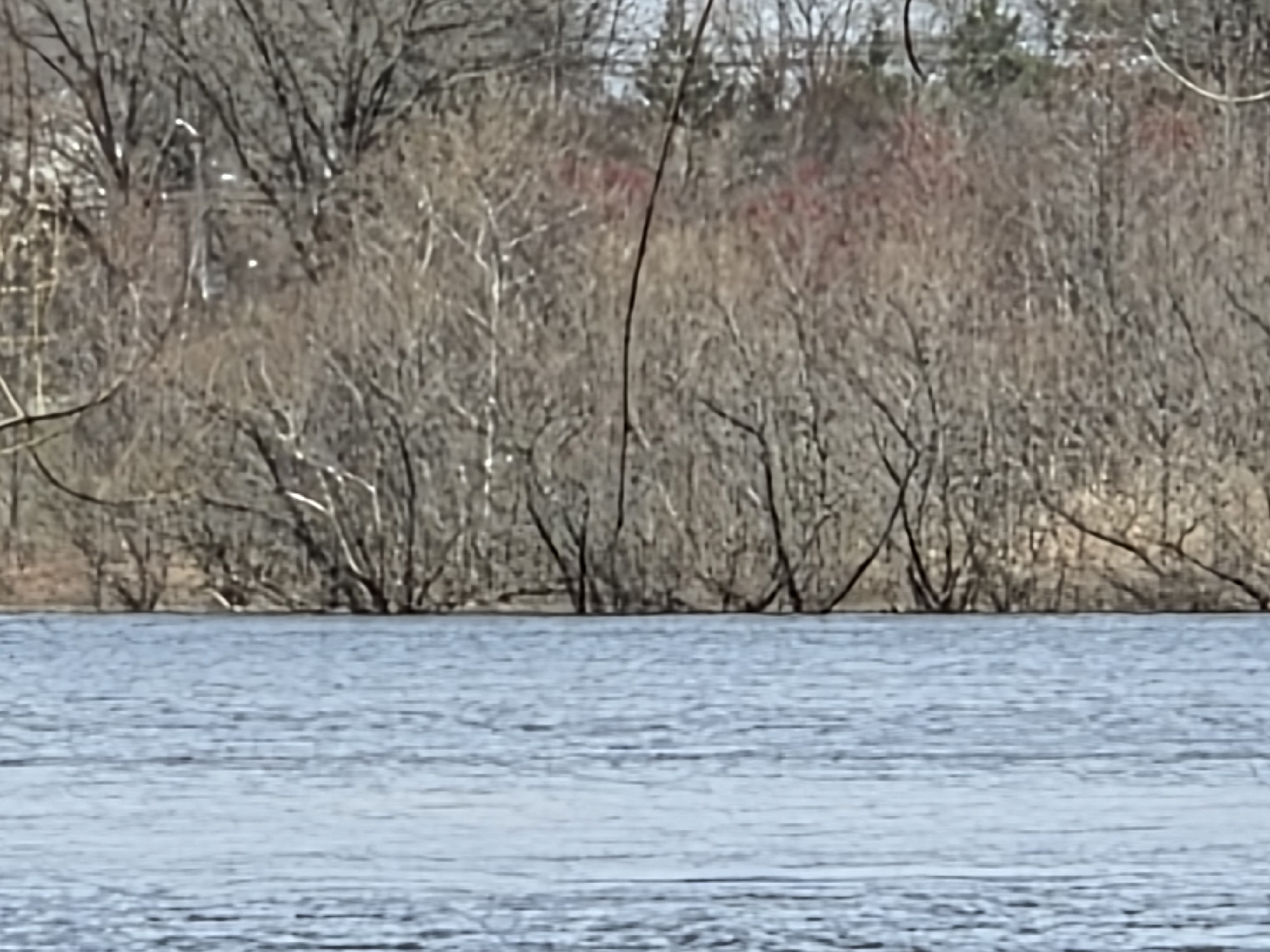 Samsung Galaxy S26 Plus camera samples