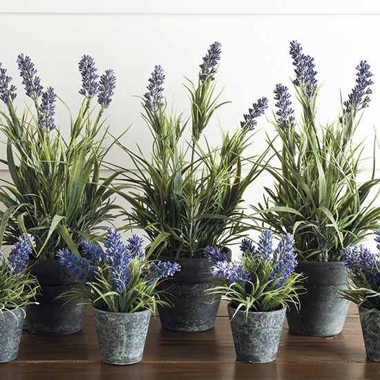 Botanical blooms The best artificial house plants Ideal Home