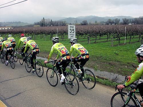 Riding through the vineyards