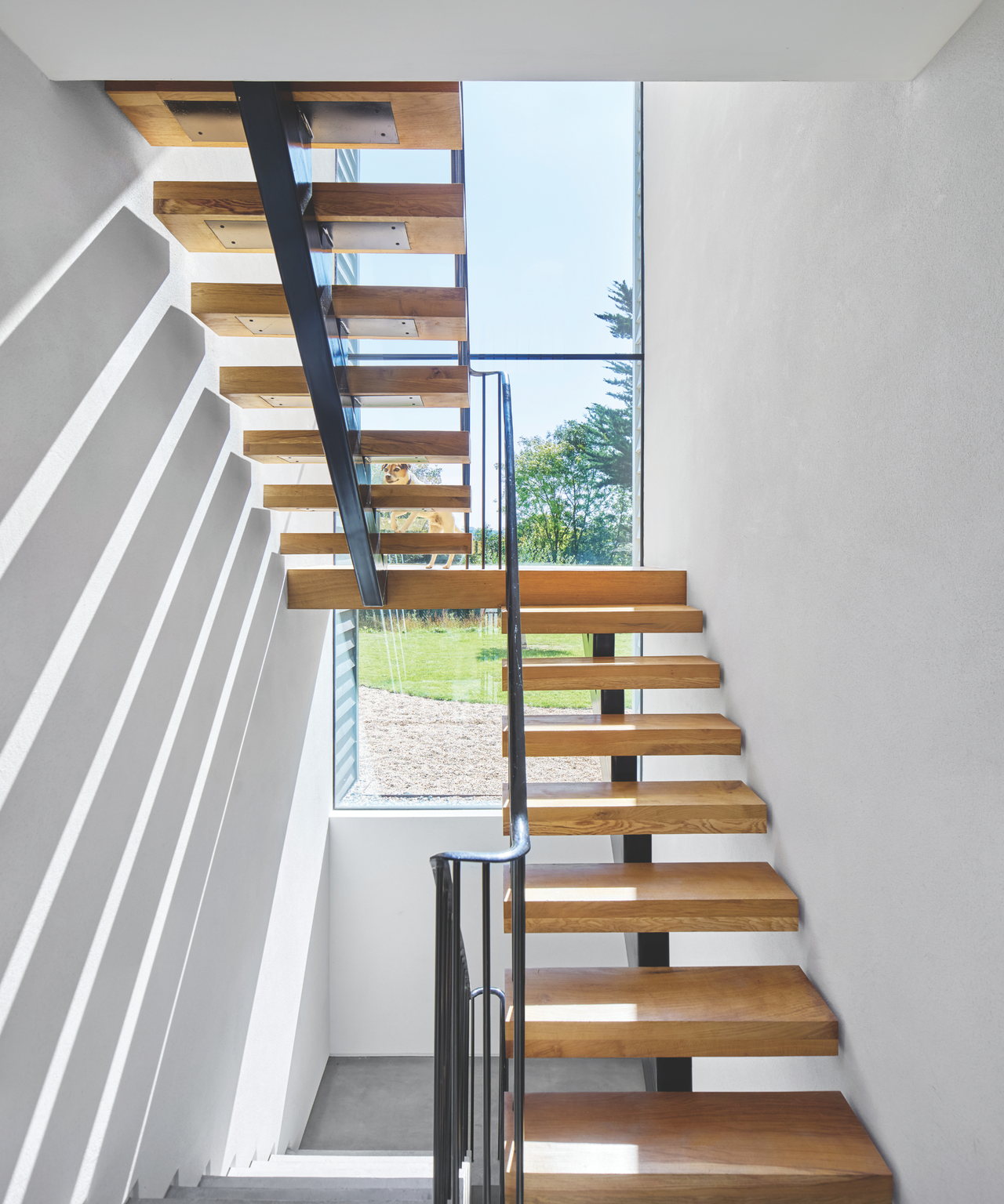 Wooden staircase with large vertical window at the back overlooking the front garden