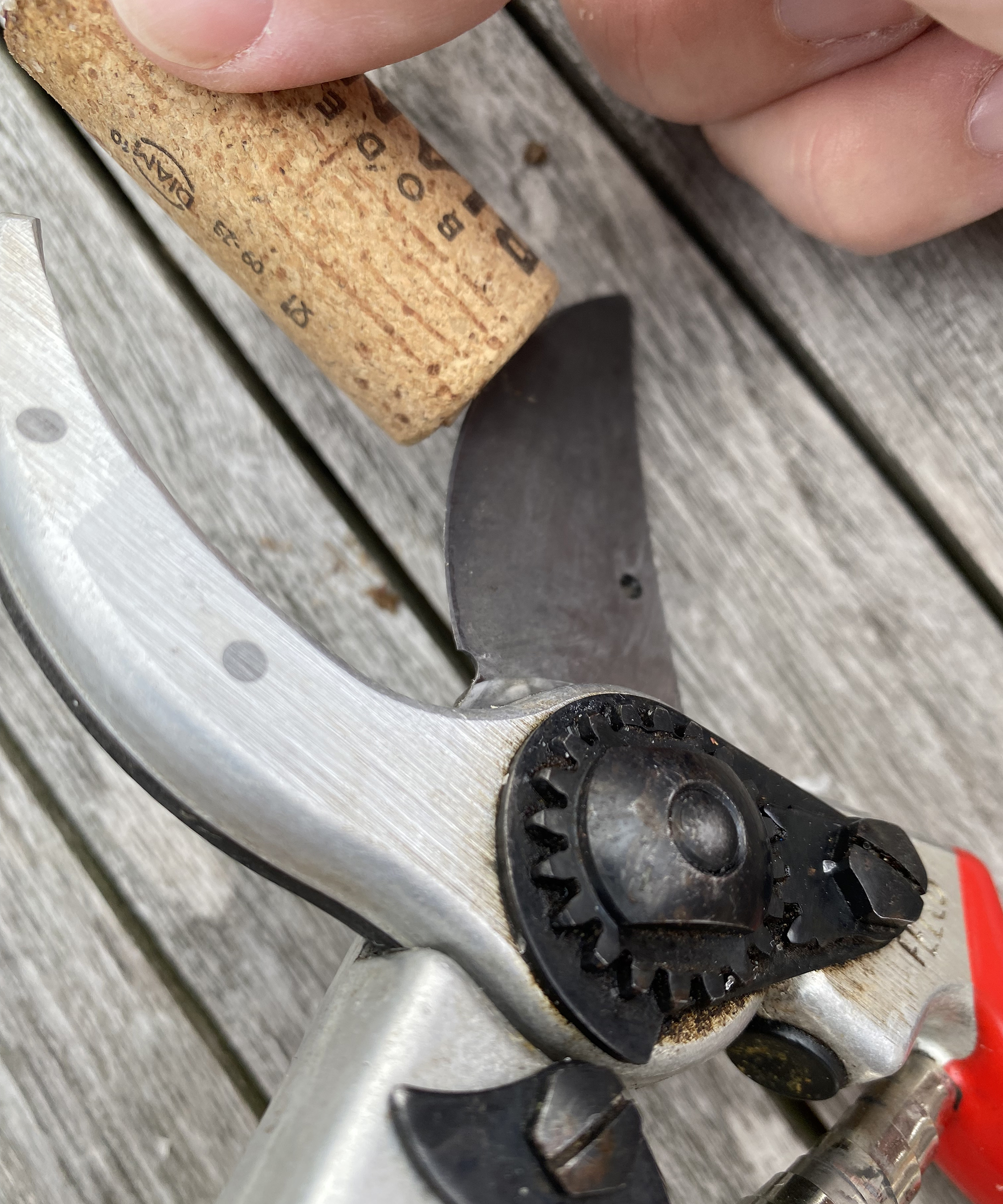 Sharpening pruners with wine cork