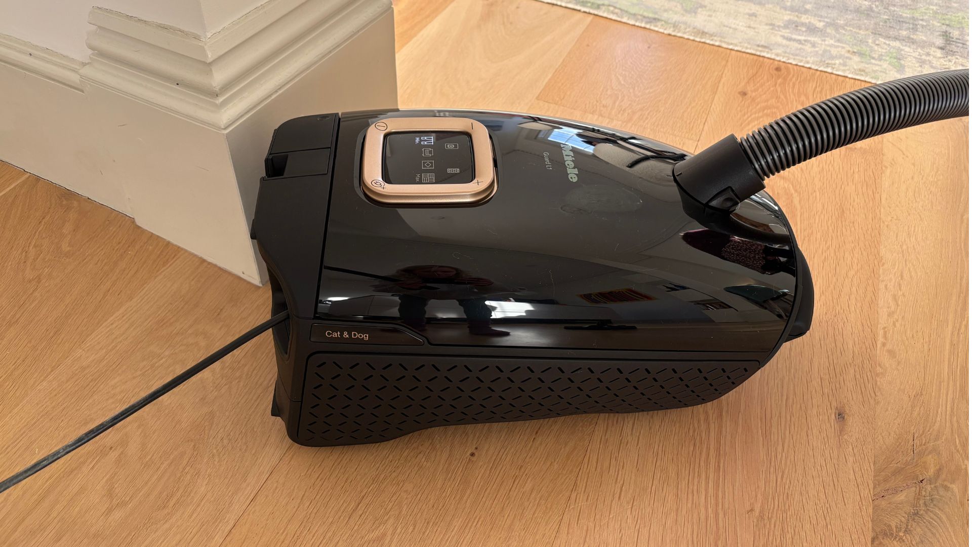 Testing the Miele Guard L1 Cylinder Vacuum