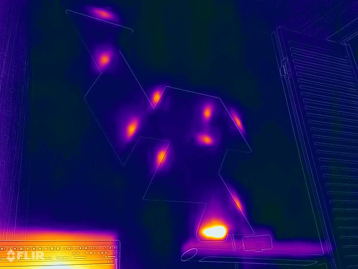 Blackview BL9000 Pro FLIR camera sample.