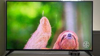 Roku Pro series TV showing creature