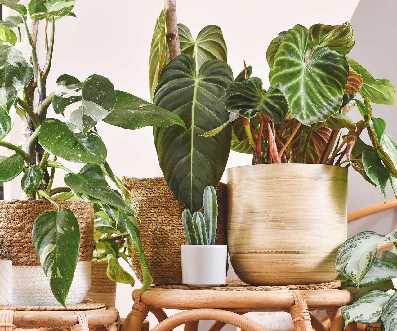 Indoor garden ideas: 9 ways to create a plant-filled haven | Homes and ...