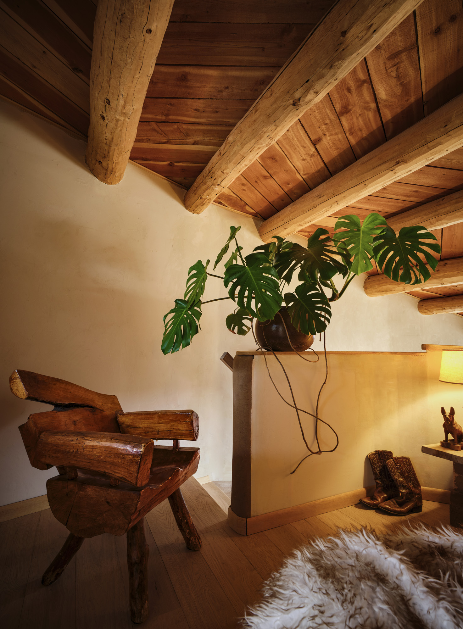 coyote house, home in the desert shaped like an animal's head
