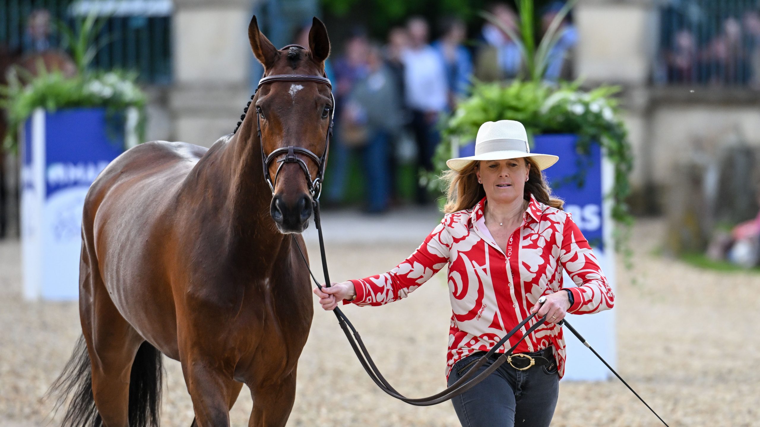 Badminton Horse Trials trot-up pictures Pippa Funnell and Majas Hope
