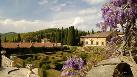 Villa La Foce, Tuscany with purple wisteria blooms cascasing over an old stone wall